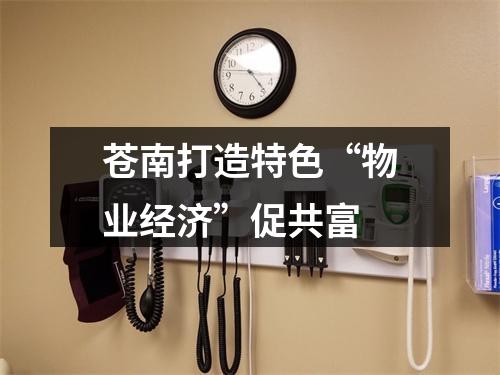 苍南打造特色“物业经济”促共富