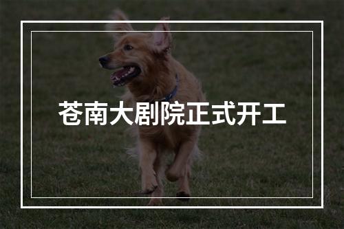 苍南大剧院正式开工