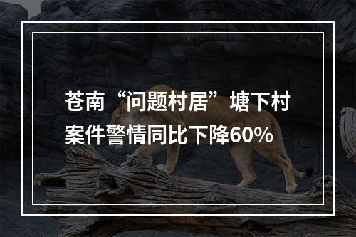 苍南“问题村居”塘下村案件警情同比下降60%