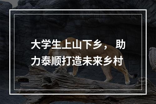 大学生上山下乡， 助力泰顺打造未来乡村