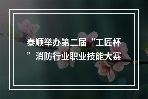 泰顺举办第二届“工匠杯”消防行业职业技能大赛