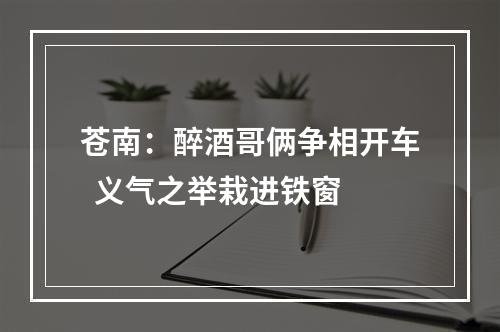 苍南：醉酒哥俩争相开车  义气之举栽进铁窗
