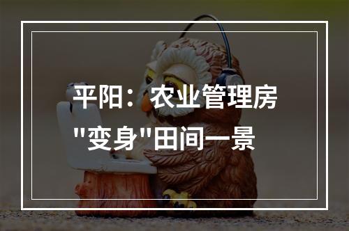 平阳：农业管理房