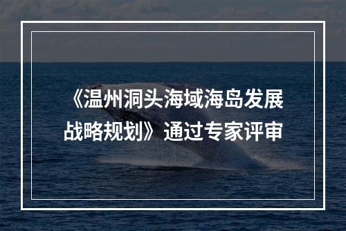 《温州洞头海域海岛发展战略规划》通过专家评审