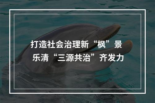 打造社会治理新“枫”景  乐清“三源共治”齐发力
