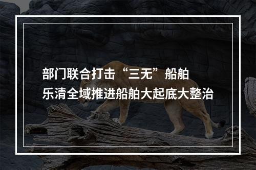 部门联合打击“三无”船舶  乐清全域推进船舶大起底大整治