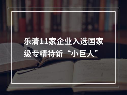 乐清11家企业入选国家级专精特新“小巨人”