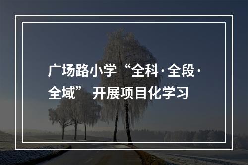广场路小学“全科·全段·全域” 开展项目化学习