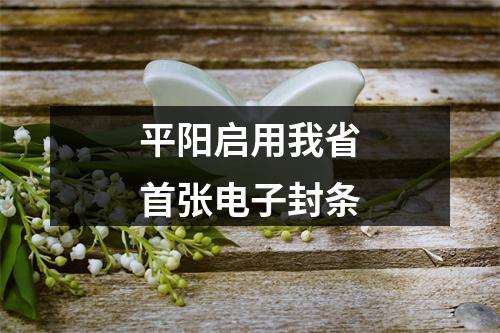 平阳启用我省首张电子封条