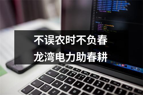 不误农时不负春 龙湾电力助春耕