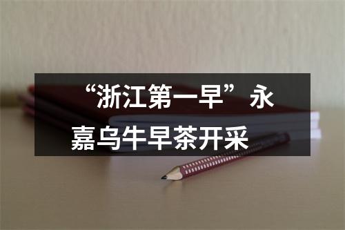 “浙江第一早”永嘉乌牛早茶开采