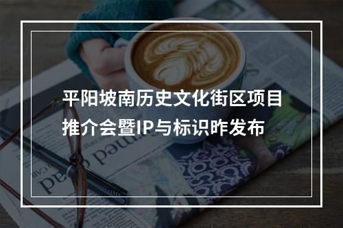 平阳坡南历史文化街区项目推介会暨IP与标识昨发布