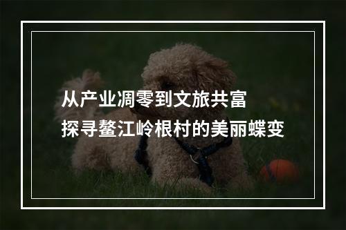 从产业凋零到文旅共富  探寻鳌江岭根村的美丽蝶变
