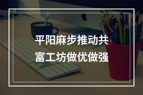 平阳麻步推动共富工坊做优做强