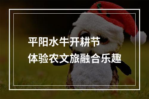 平阳水牛开耕节  体验农文旅融合乐趣