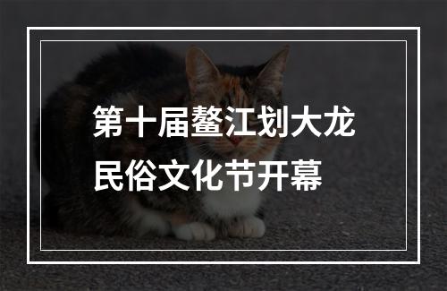第十届鳌江划大龙民俗文化节开幕