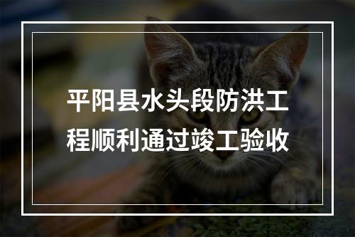 平阳县水头段防洪工程顺利通过竣工验收
