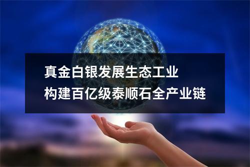 真金白银发展生态工业  构建百亿级泰顺石全产业链