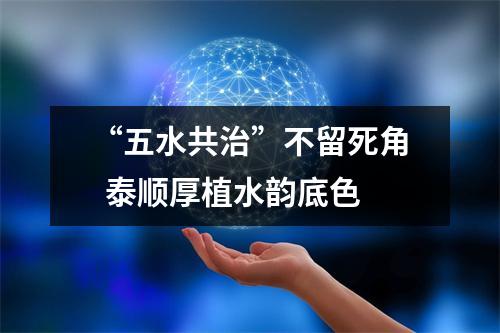 “五水共治”不留死角  泰顺厚植水韵底色