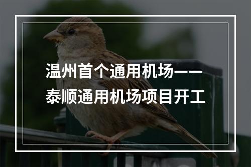 温州首个通用机场——泰顺通用机场项目开工