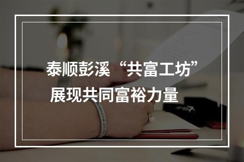 泰顺彭溪“共富工坊” 展现共同富裕力量