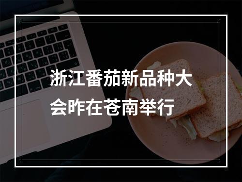 浙江番茄新品种大会昨在苍南举行