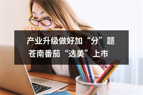 产业升级做好加“分”题  苍南番茄“选美”上市