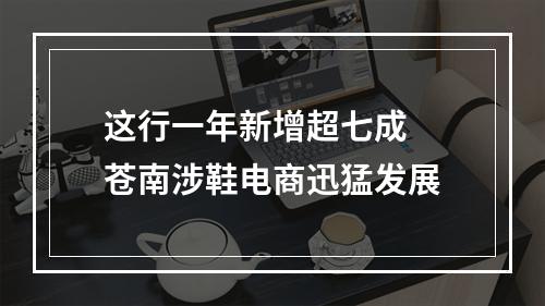 这行一年新增超七成  苍南涉鞋电商迅猛发展