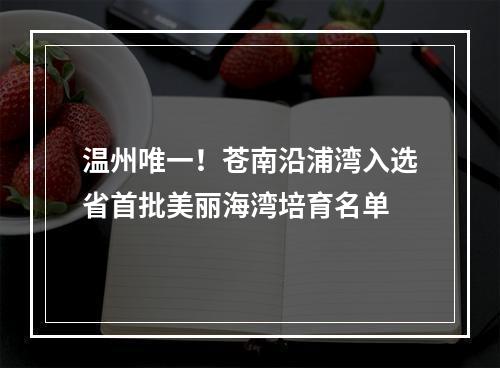 温州唯一！苍南沿浦湾入选省首批美丽海湾培育名单