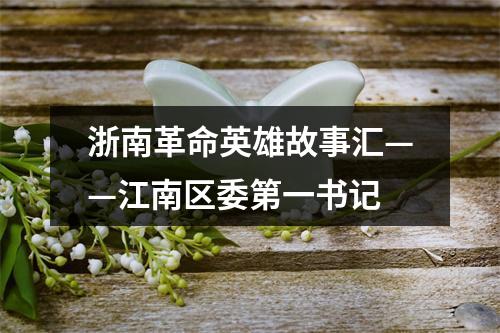 浙南革命英雄故事汇——江南区委第一书记