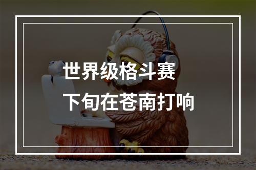 世界级格斗赛 下旬在苍南打响