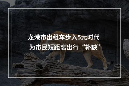 龙港市出租车步入5元时代  为市民短距离出行“补缺”