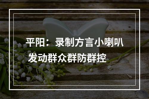 平阳：录制方言小喇叭 发动群众群防群控