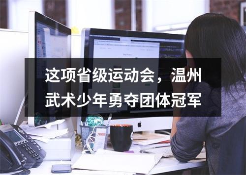 这项省级运动会，温州武术少年勇夺团体冠军