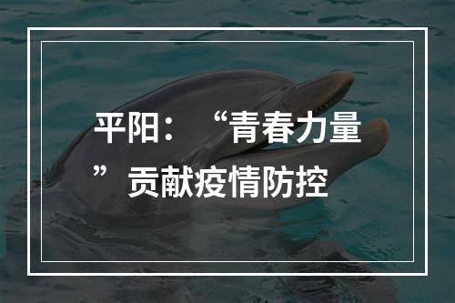 平阳：“青春力量”贡献疫情防控