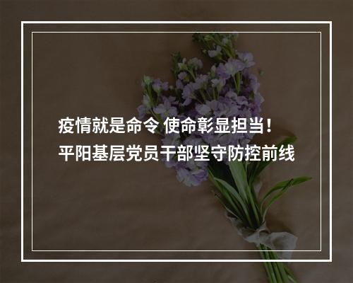 疫情就是命令 使命彰显担当！平阳基层党员干部坚守防控前线