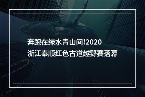 奔跑在绿水青山间!2020浙江泰顺红色古道越野赛落幕