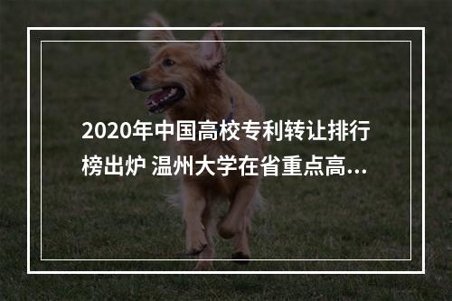 2020年中国高校专利转让排行榜出炉 温州大学在省重点高校排名第5位
