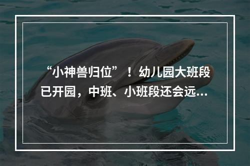 “小神兽归位” ！幼儿园大班段已开园，中班、小班段还会远吗？
