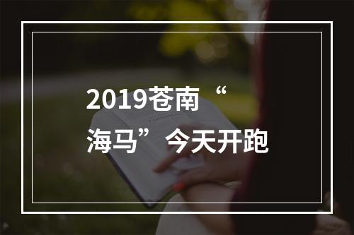 2019苍南“海马”今天开跑