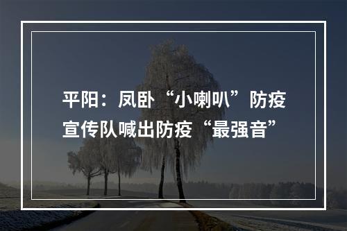 平阳：凤卧“小喇叭”防疫宣传队喊出防疫“最强音”