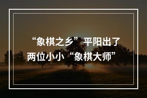 “象棋之乡”平阳出了两位小小“象棋大师”