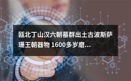 瓯北丁山汉六朝墓群出土古波斯萨珊王朝器物 1600多岁磨花玻璃碗作证