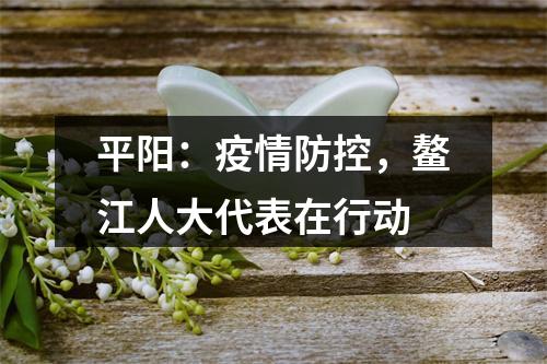 平阳：疫情防控，鳌江人大代表在行动