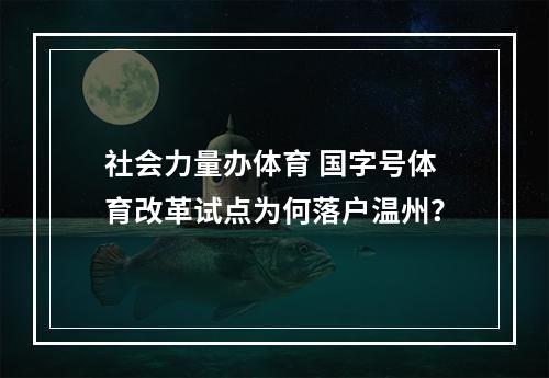 社会力量办体育 国字号体育改革试点为何落户温州？