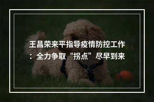 王昌荣来平指导疫情防控工作：全力争取“拐点”尽早到来