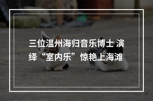 三位温州海归音乐博士 演绎“室内乐”惊艳上海滩