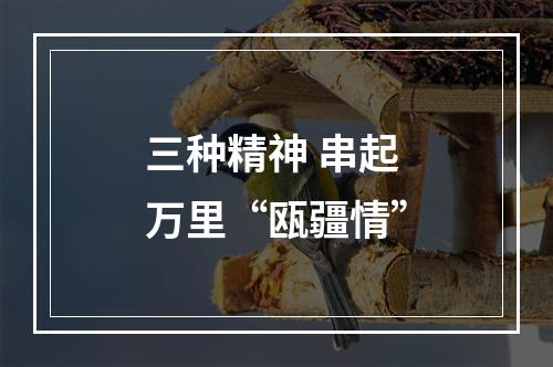 三种精神 串起万里“瓯疆情”