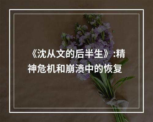 《沈从文的后半生》:精神危机和崩溃中的恢复