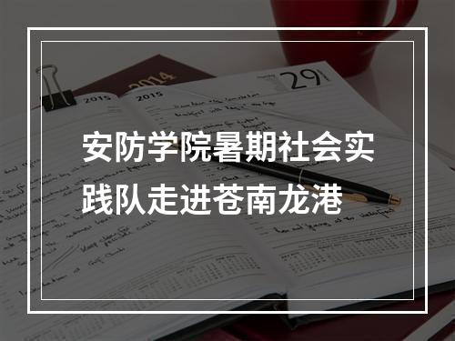 安防学院暑期社会实践队走进苍南龙港